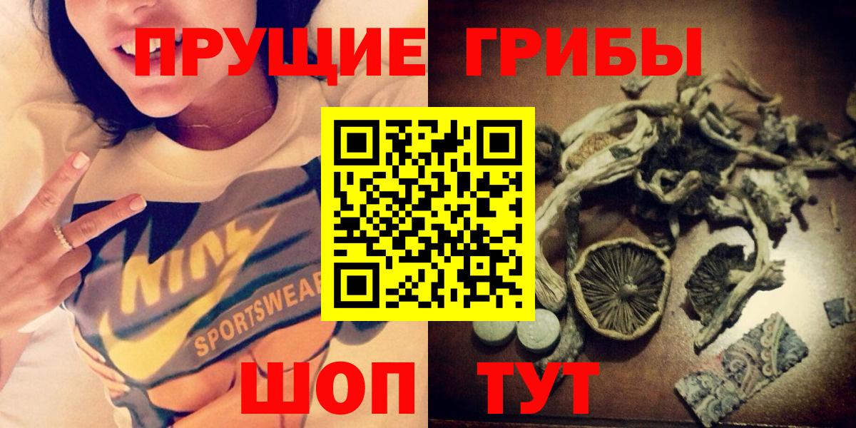 Псилоцибиновые грибы мицелий  Вход с VPN  Бийск 