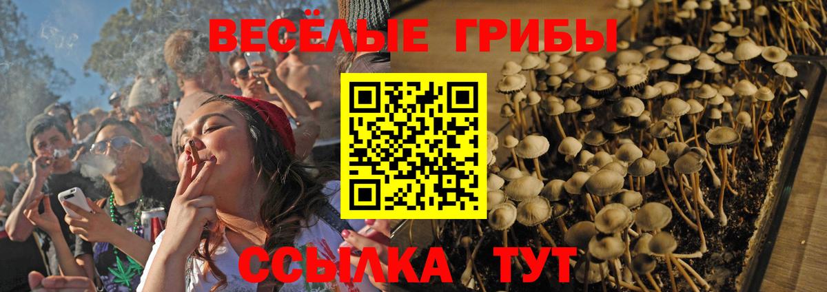 Галлюциногенные грибы Cubensis Бийск